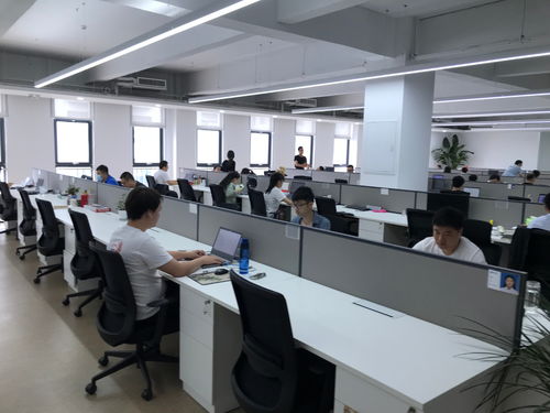 聚焦石家莊電子信息產(chǎn)業(yè) 神玥軟件堅(jiān)持?jǐn)?shù)字化發(fā)展，迎來發(fā)展黃金期