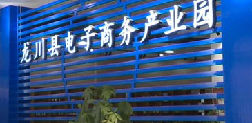 縣工信局主動對接粵港澳大灣區(qū)，以產(chǎn)業(yè)共建與電商平臺開發(fā)助推縣域經(jīng)濟(jì)高質(zhì)量發(fā)展